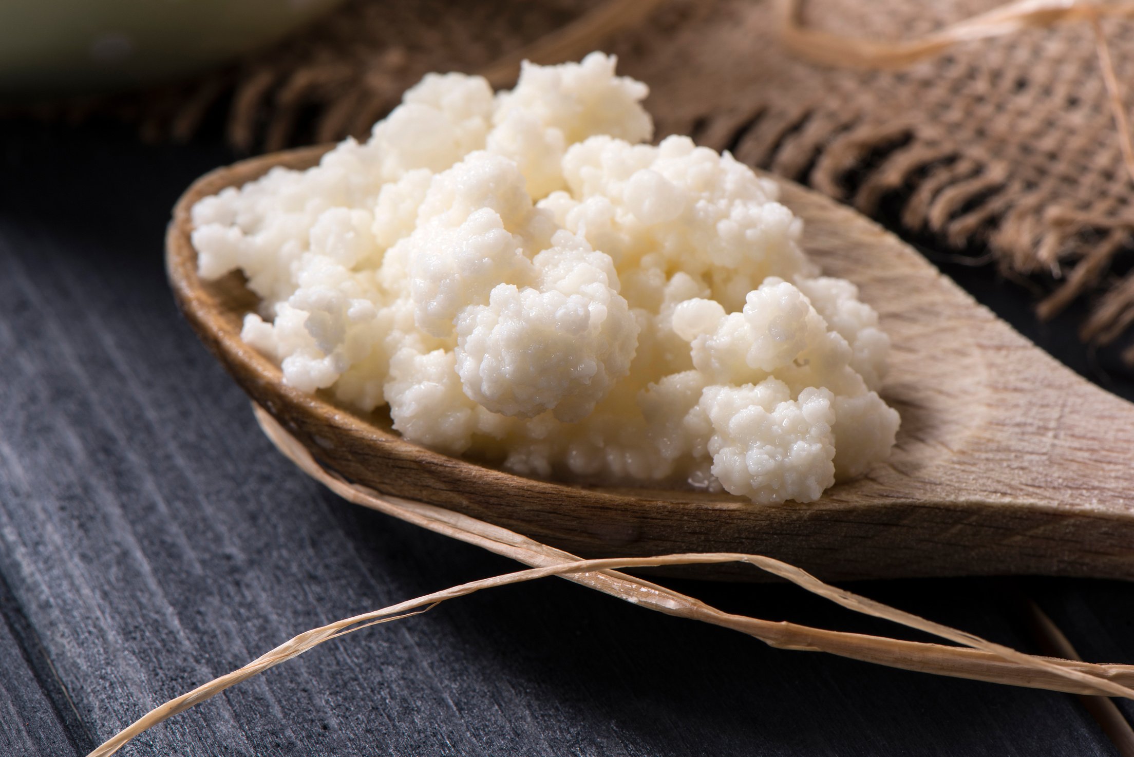 Kefir Grains