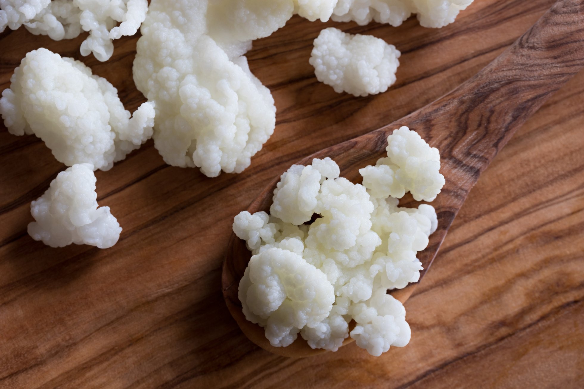 Milk kefir grains